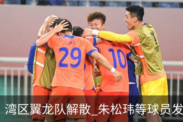 湾区翼龙队解散 朱松玮等球员发布声明维权
